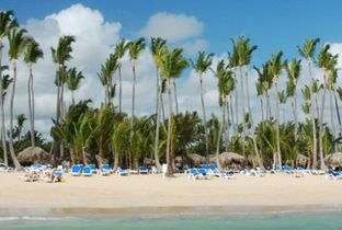 Hotel Sirenis Cocotal Beach Resort Casino Spa Beach 1 Hotel Sirenis Cocotal Beach Resort Casino Spa Beach 1